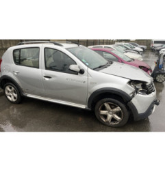 Porte arriere gauche DACIA SANDERO 1