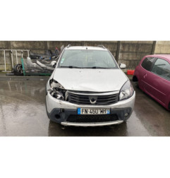 Porte arriere gauche DACIA SANDERO 1