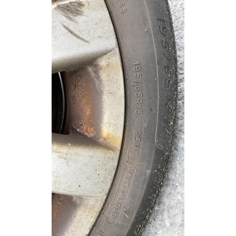 Porte arriere gauche VOLKSWAGEN GOLF PLUS Photo n°8