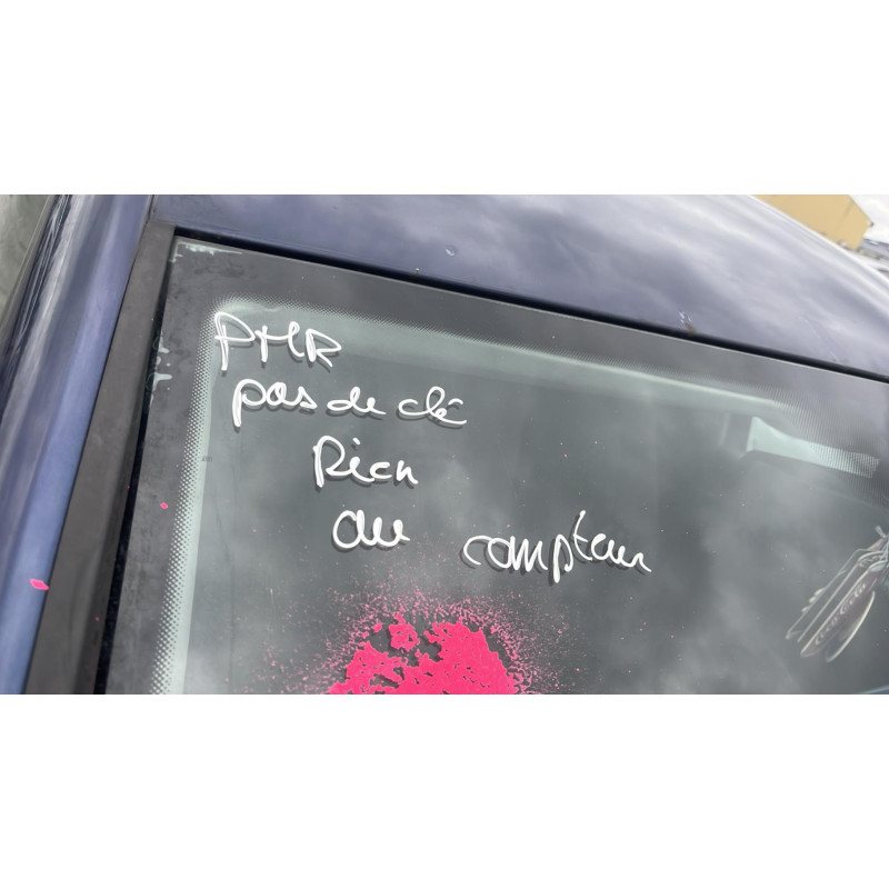 Porte arriere gauche VOLKSWAGEN GOLF PLUS Photo n°13