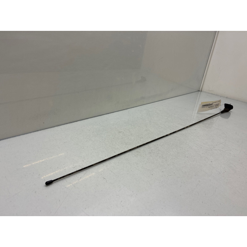 Antenne DACIA DUSTER 1 Photo n°1