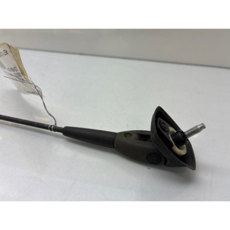 Antenne DACIA DUSTER 1