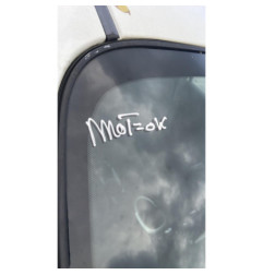 Vitre avant droit NISSAN JUKE 1