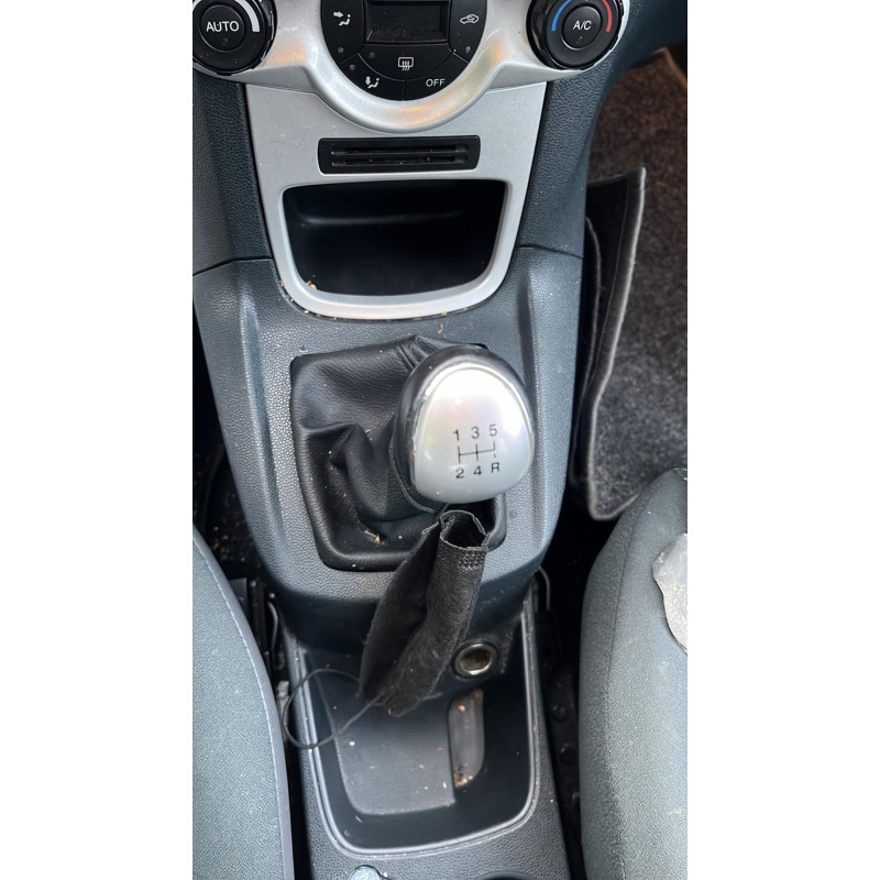 Porte avant gauche FORD FIESTA 6 Photo n°14
