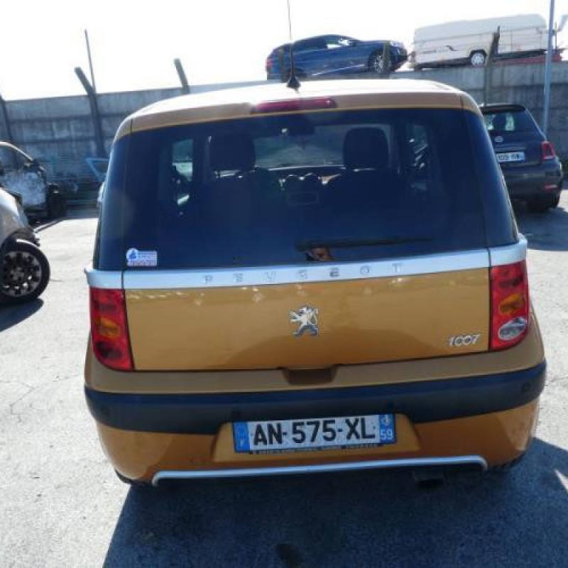 Bras essuie glace arriere PEUGEOT 1007 Photo n°6