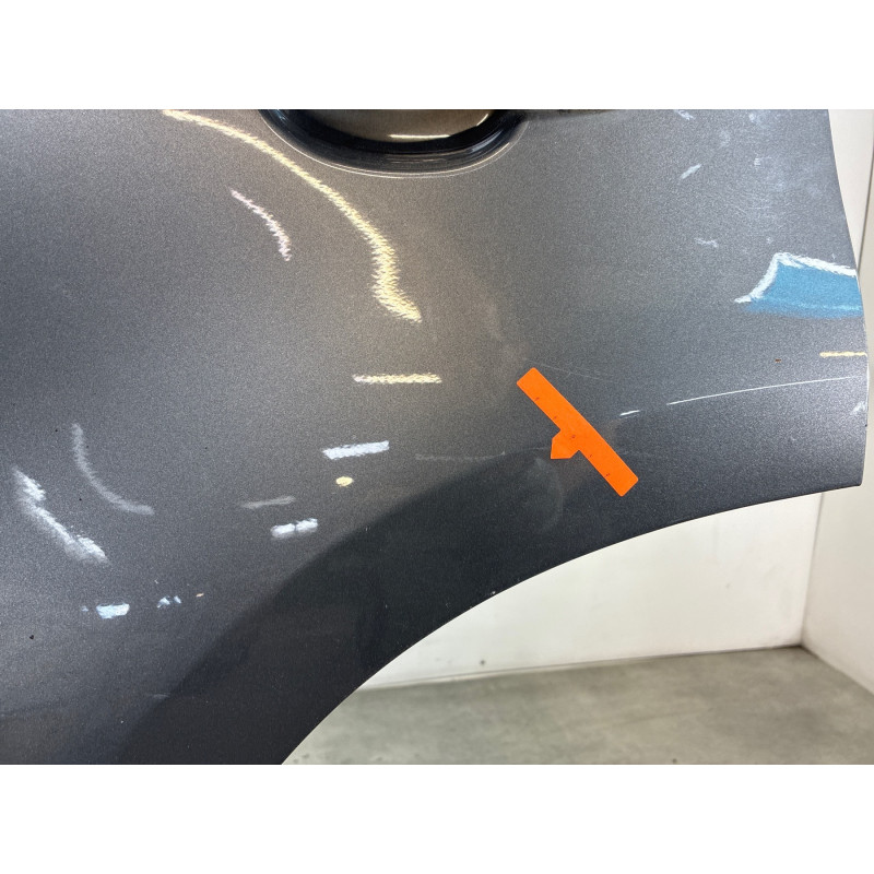 Porte arriere gauche VOLKSWAGEN TIGUAN 1 Photo n°5