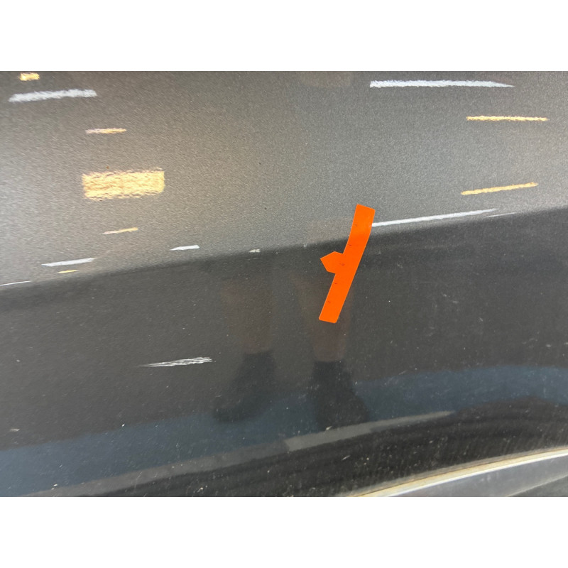 Porte arriere gauche VOLKSWAGEN TIGUAN 1 Photo n°6