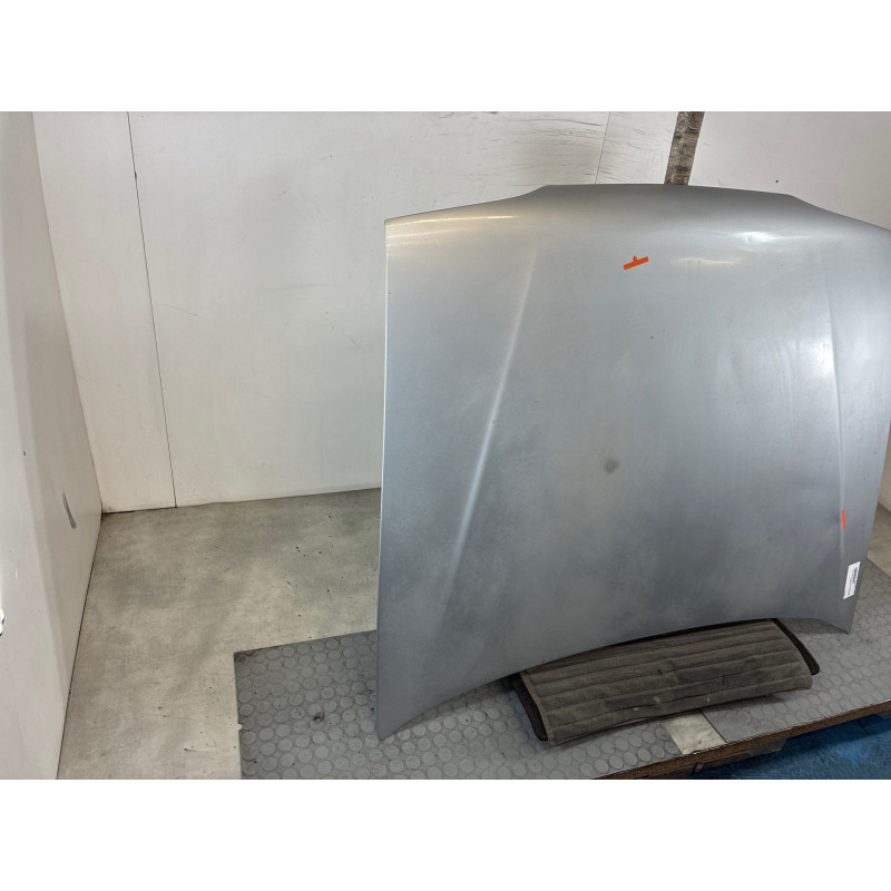Capot RENAULT R19 Photo n°3