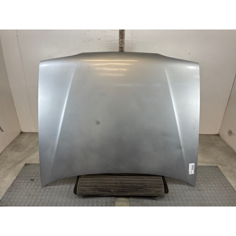 Capot RENAULT R19 Photo n°4
