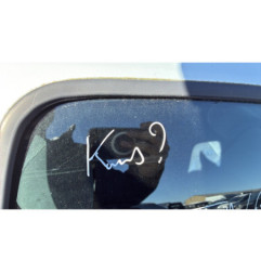 Capot RENAULT CLIO 2
