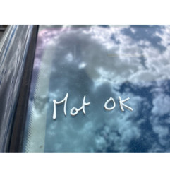 Porte arriere droit CITROEN C4 1