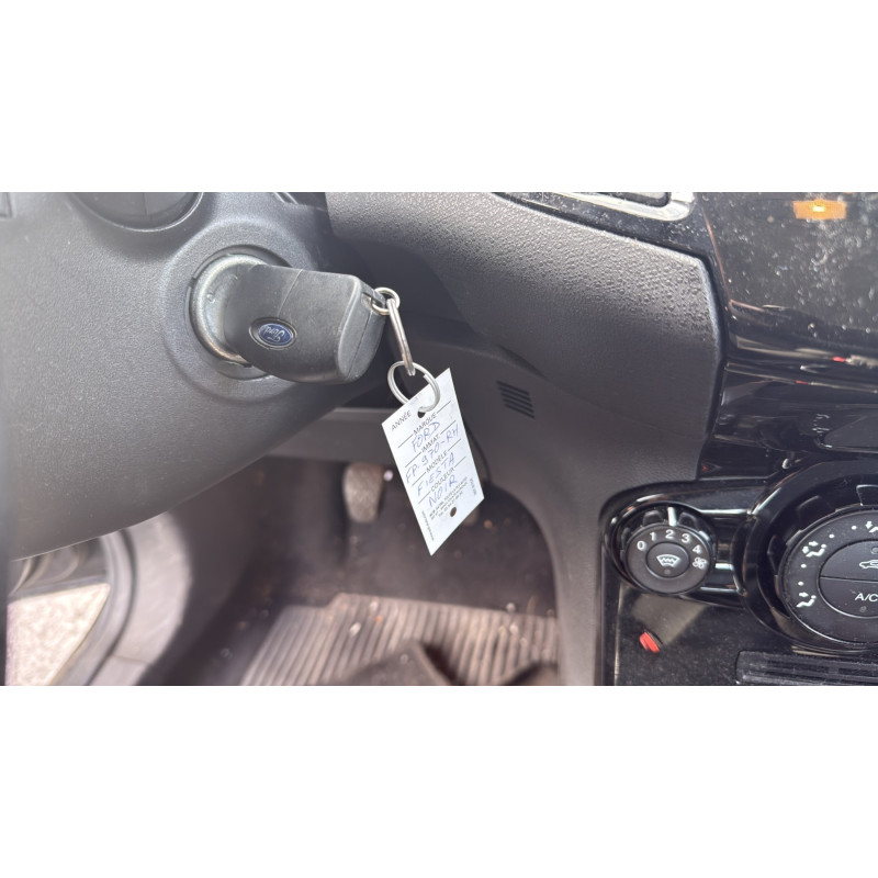 Porte arriere gauche FORD FIESTA 6 Photo n°20