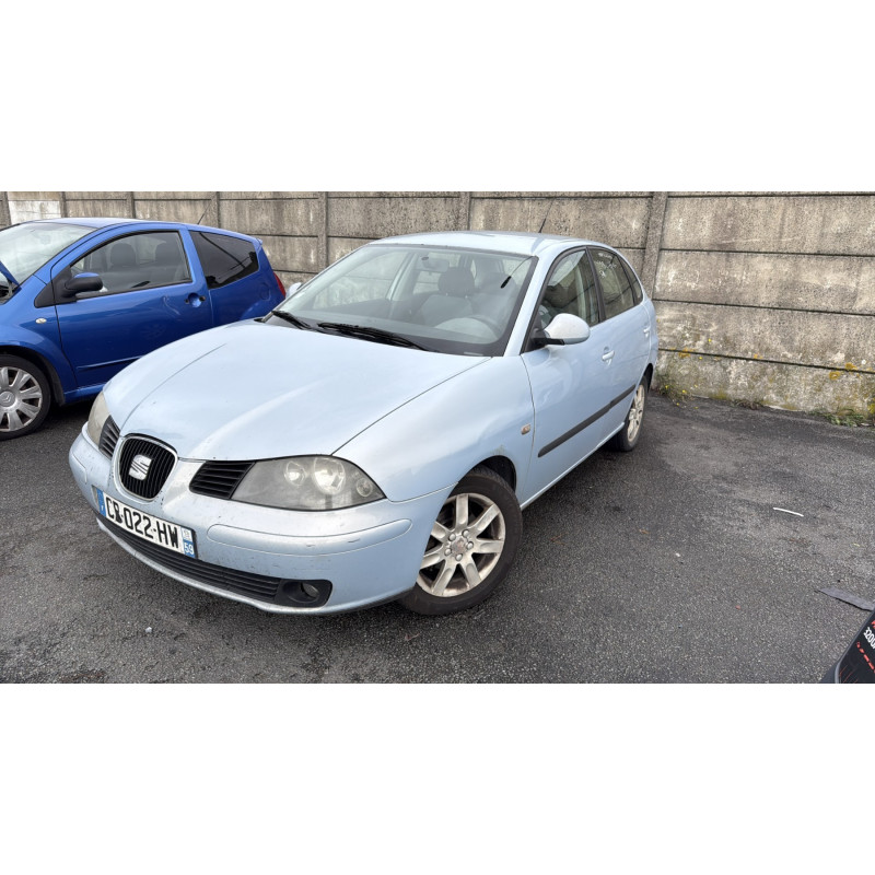 Porte arriere droit SEAT IBIZA 3 Photo n°7