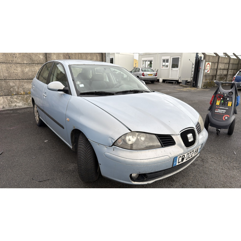 Porte arriere droit SEAT IBIZA 3 Photo n°8