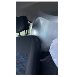 Porte arriere gauche RENAULT CLIO 3