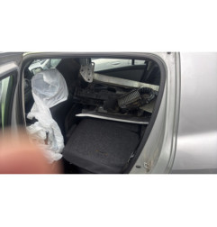 Porte arriere gauche RENAULT CLIO 3