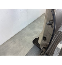 Porte arriere gauche RENAULT SCENIC 3