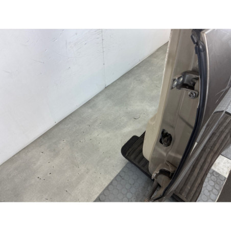 Porte arriere gauche RENAULT SCENIC 3