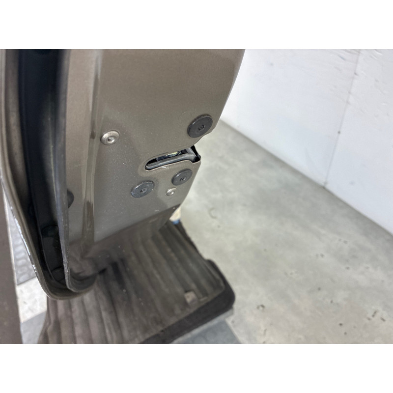 Porte arriere gauche RENAULT SCENIC 3 Photo n°5