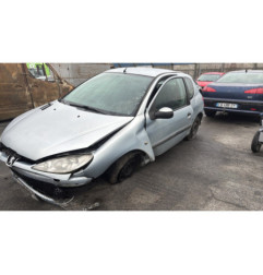 Vase de lave glace PEUGEOT 206