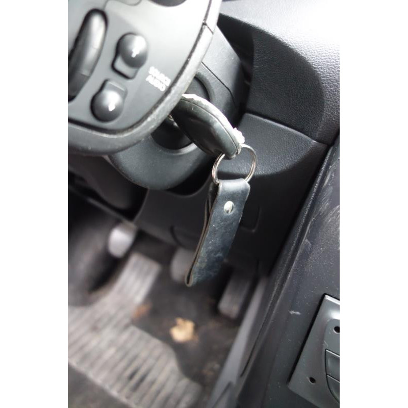 Plage arriere RENAULT CLIO 3 Photo n°8