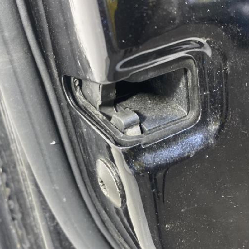 Porte avant gauche VOLKSWAGEN PASSAT 5 Photo n°5