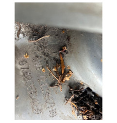 Pare boue avant gauche CITROEN C4 1