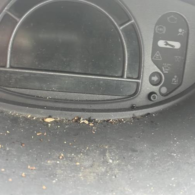 Pretensionneur de ceinture avant droit RENAULT MODUS Photo n°13