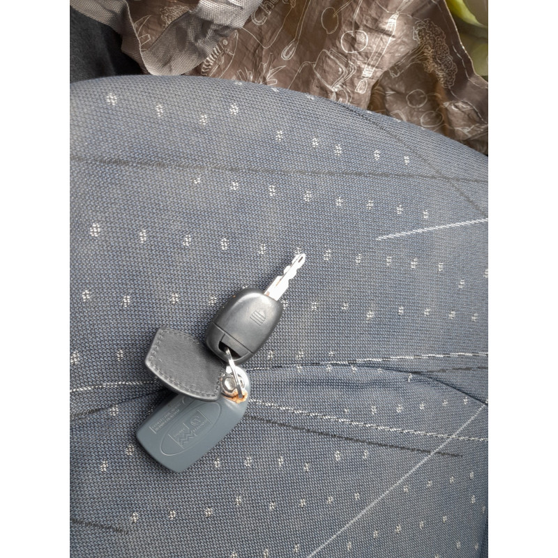 Neiman RENAULT CLIO 2 Photo n°12