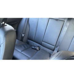Custode arriere gauche (porte) BMW SERIE 1 F20