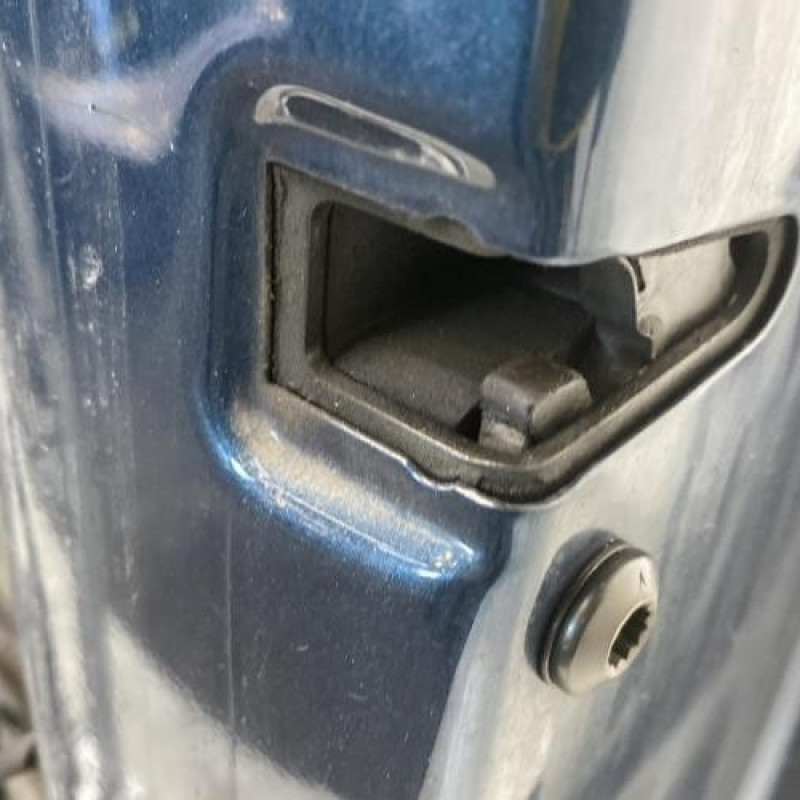 Porte avant droit SEAT LEON 2 Photo n°6