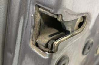 Porte avant droit RENAULT CLIO 2