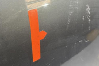 Porte avant droit RENAULT CLIO 2