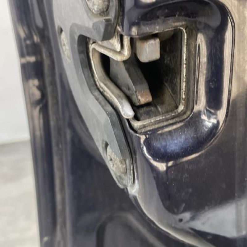 Porte avant gauche OPEL SIGNUM Photo n°6