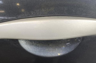 Porte arriere gauche DACIA SANDERO 1
