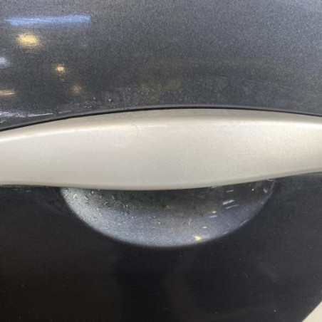 Porte arriere gauche DACIA SANDERO 1