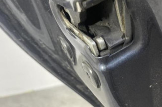 Porte arriere gauche DACIA SANDERO 1