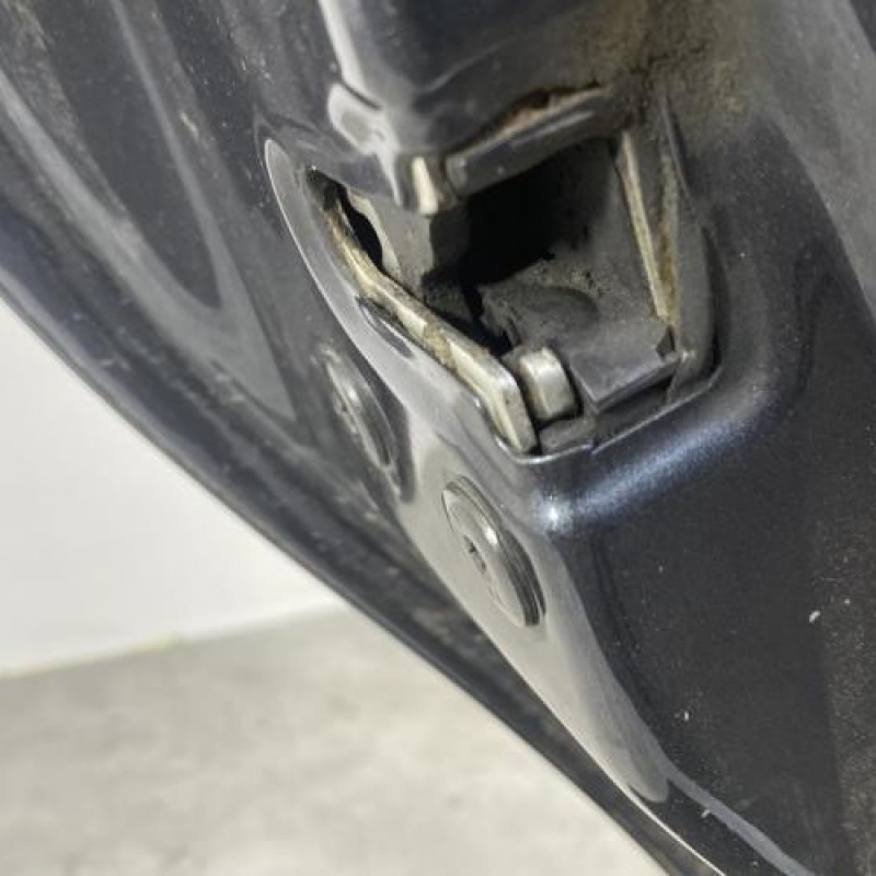 Porte arriere gauche DACIA SANDERO 1 Photo n°4