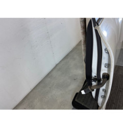 Porte arriere gauche NISSAN JUKE 1