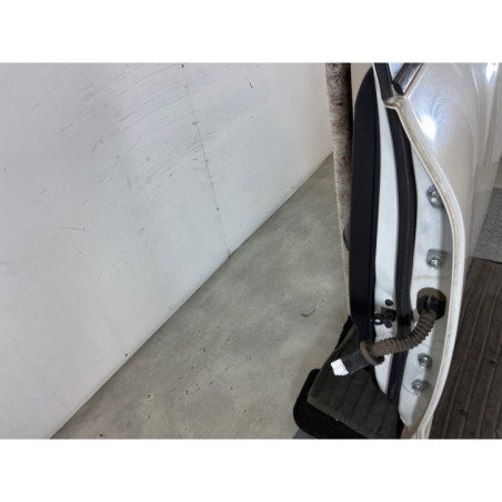 Porte arriere gauche NISSAN JUKE 1