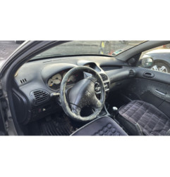 Lunette arriere PEUGEOT 206