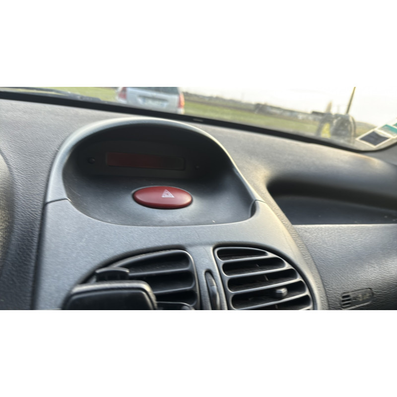 Lunette arriere PEUGEOT 206 Photo n°20