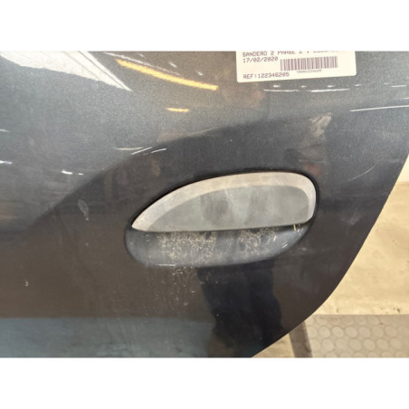 Porte arriere gauche DACIA SANDERO 2