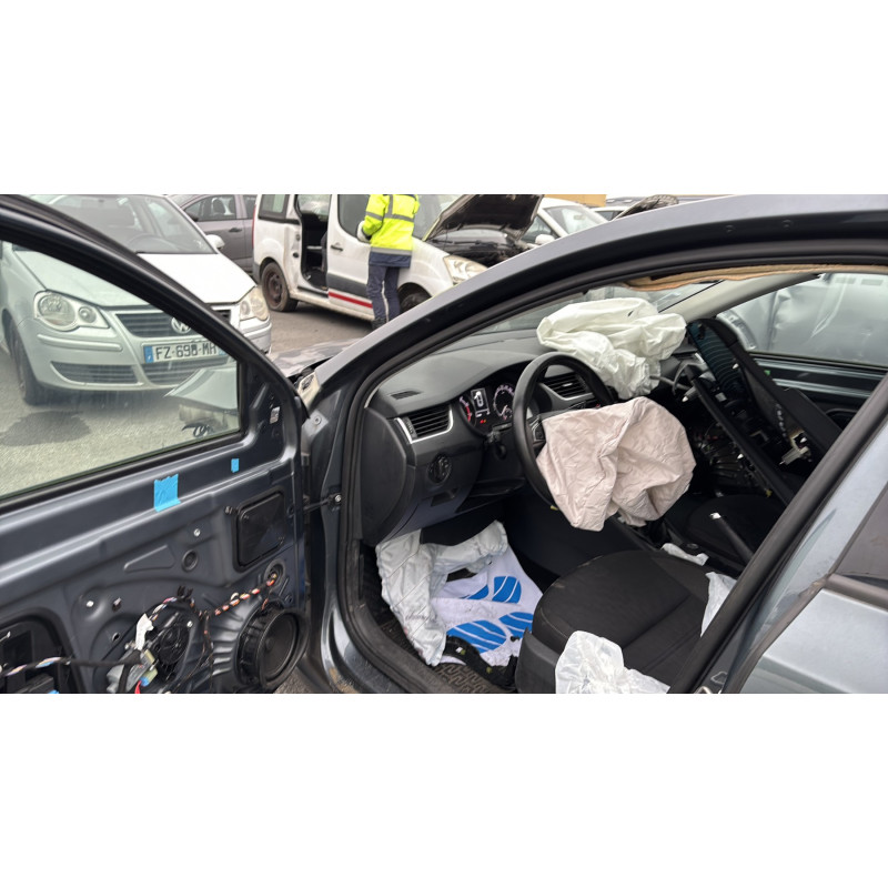 Porte avant gauche SKODA OCTAVIA 3 Photo n°14