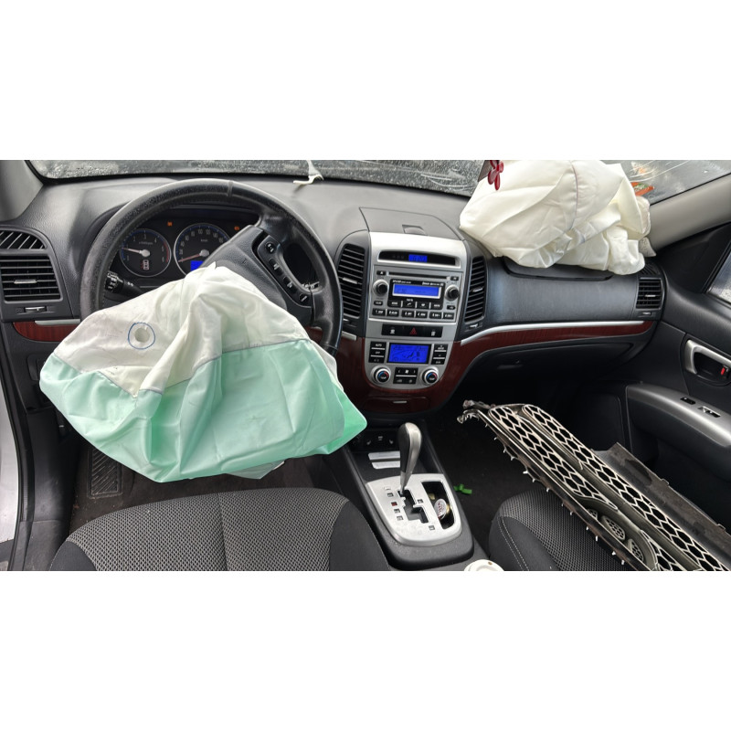 Porte avant gauche HYUNDAI SANTA FE 2 Photo n°20