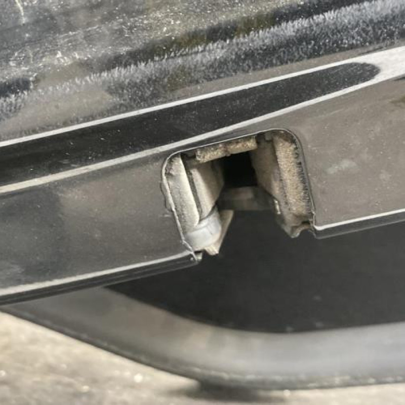 Porte arriere droit BMW X5 E53 Photo n°7