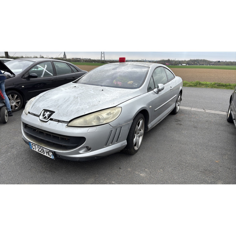 Custode arriere gauche PEUGEOT 407 Photo n°4