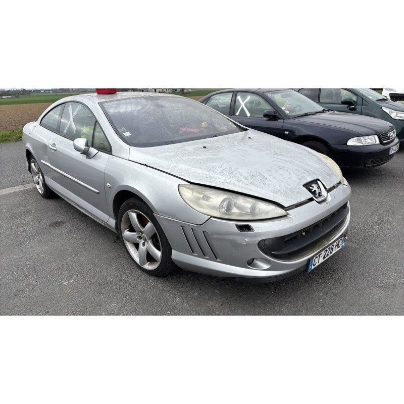 Custode arriere gauche PEUGEOT 407 Photo n°5