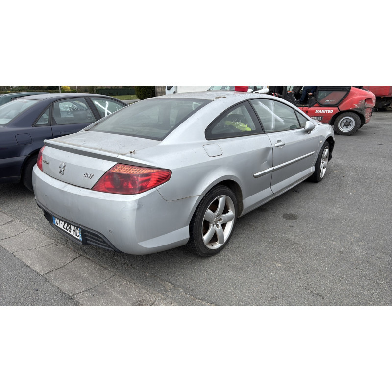 Custode arriere gauche PEUGEOT 407 Photo n°6