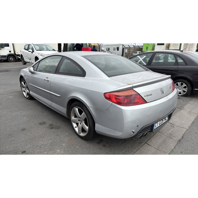 Custode arriere gauche PEUGEOT 407 Photo n°7